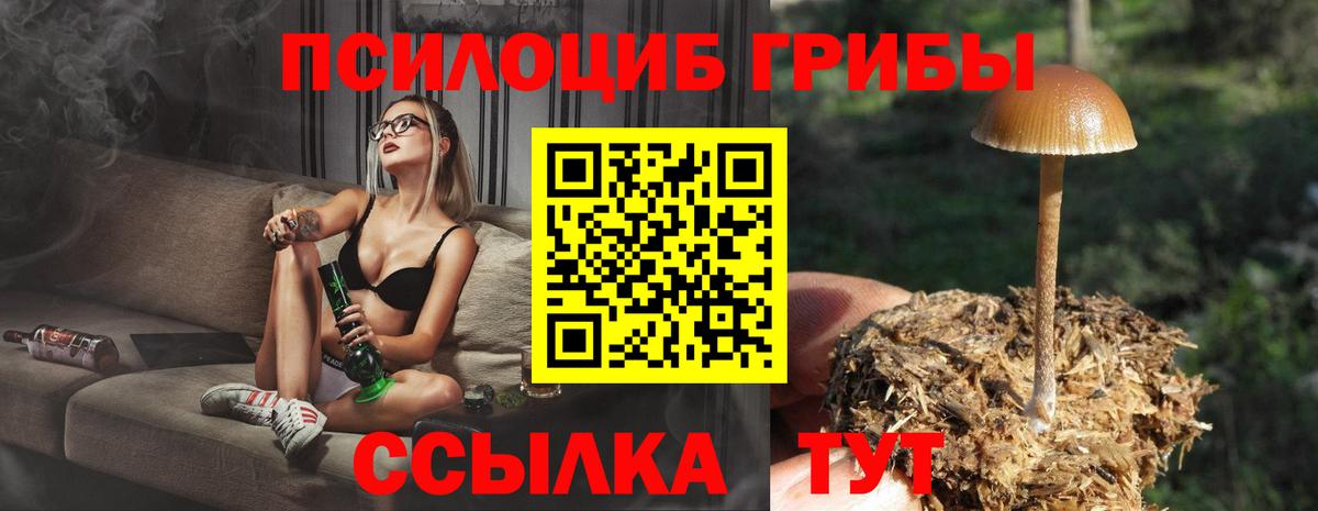 купить наркотики сайты  Галлюциногенные грибы прущие грибы  Вход с VPN  Ханты-Мансийск  Псилоцибиновые грибы GOLDEN TEACHER 